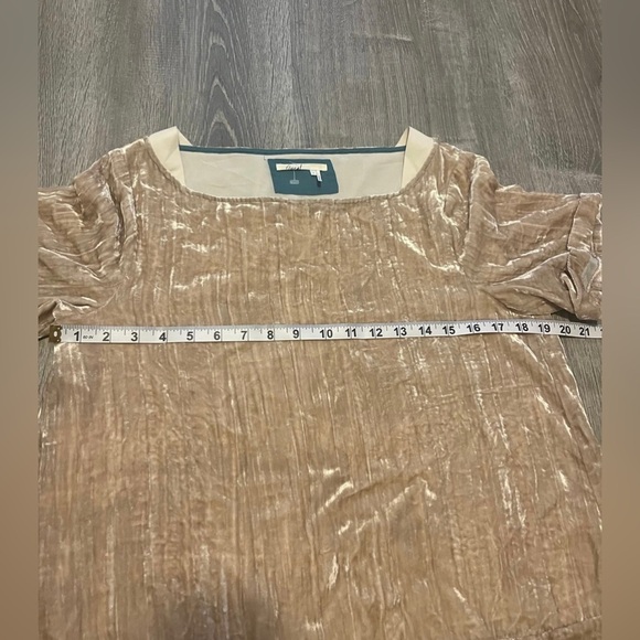 Anthropologie Floreat Champagne Crinkle Velvet Shift Tunic Style Dress Size S - Picture 2 of 9